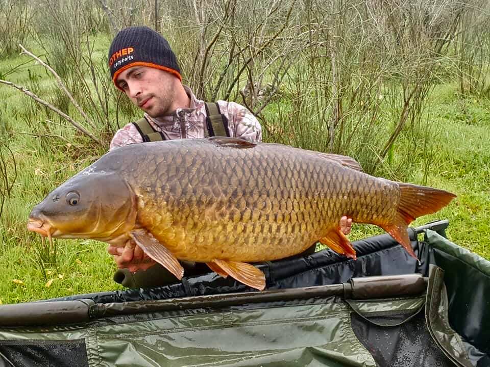 Ryby chycené na boilies IMOTHEP