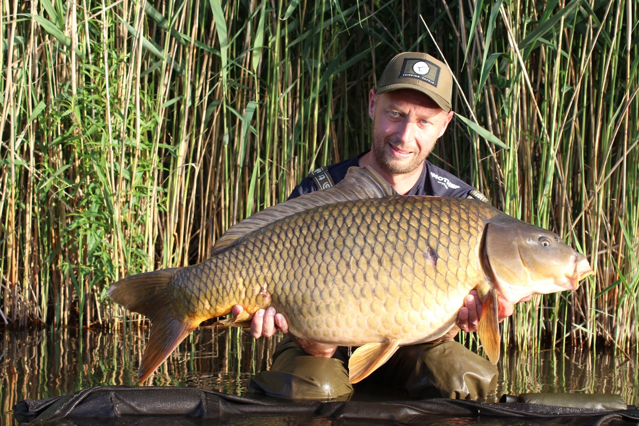 Ryby chycené na boilies IMOTHEP