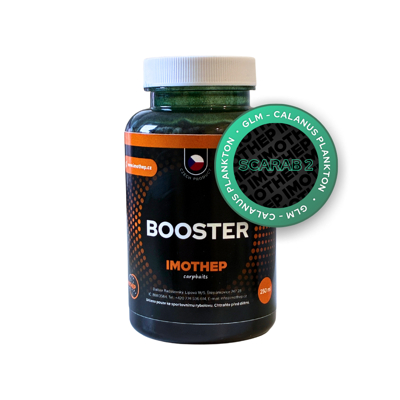 Booster - GLM calanus plankton (SCARAB2)