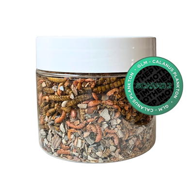 Mussels mix - GLM calanus plankton (SCARAB2)