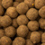 Boilies - ocean mix (LUXOR)